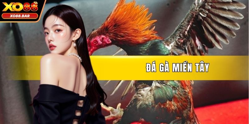 Đá Gà Miền Tây