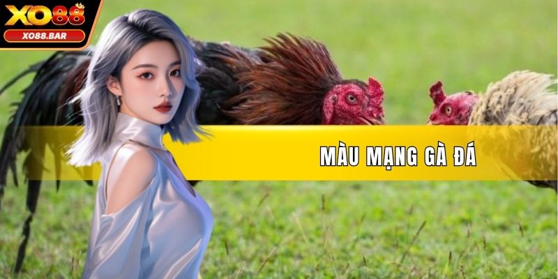 Màu Mạng Gà Đá
