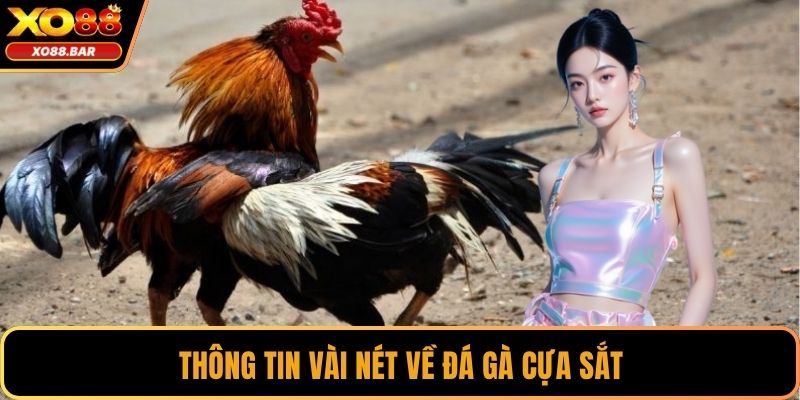 Thông tin vài nét về đá gà cựa sắt